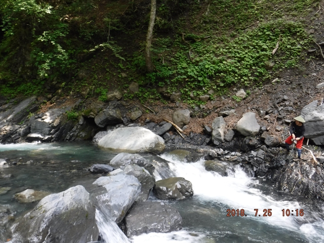 �Œ����g�h�s�̐}