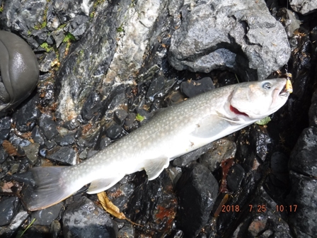 �T�g�[����̂R�S�b��