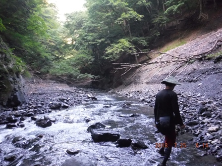 ���X�ɐ����k��