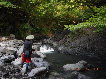 �����悩��ނ�n�߂�