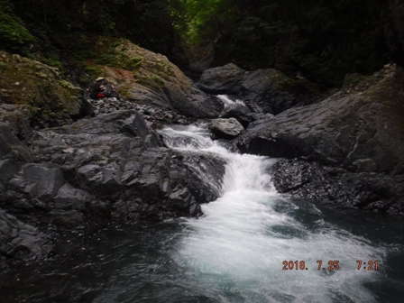 �D�|�C���g�̘A����ނ�