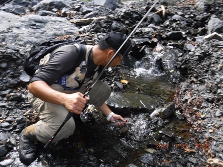 ���ɂ��P����