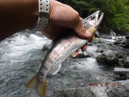 �ނ�Ă��Q�T�b�����x