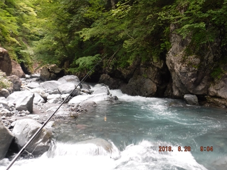 �ǂ��ɋ���̂��낤