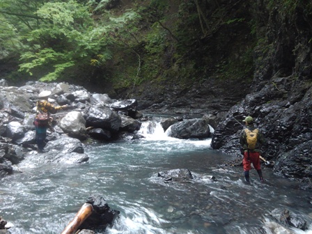 �オ������