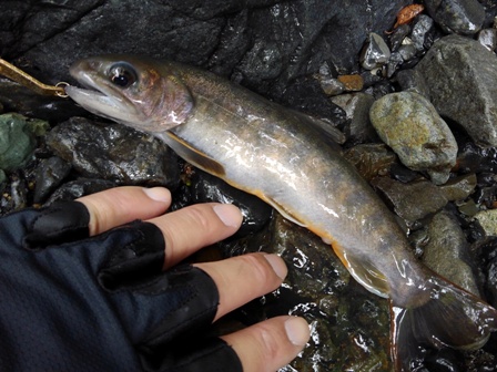 �{�����g�h�s