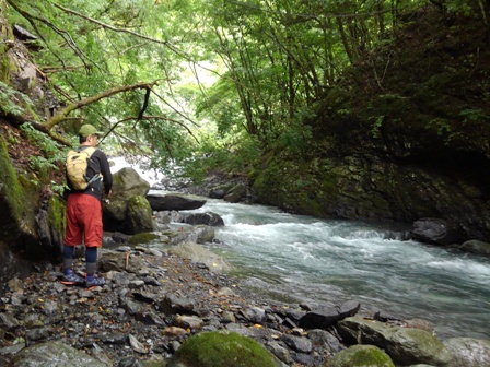 �����C���̂j��