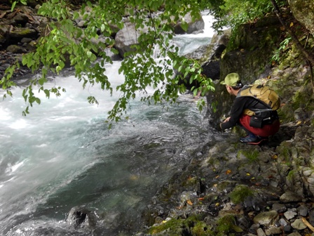 �u�b�V���̉e����