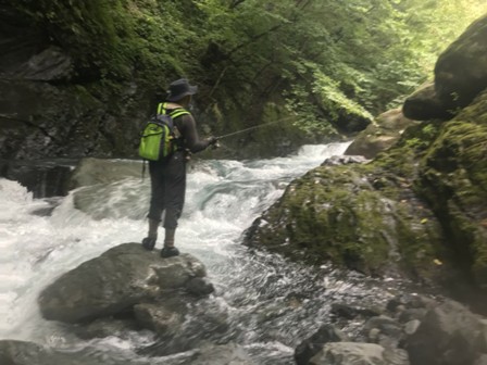 �����̒�