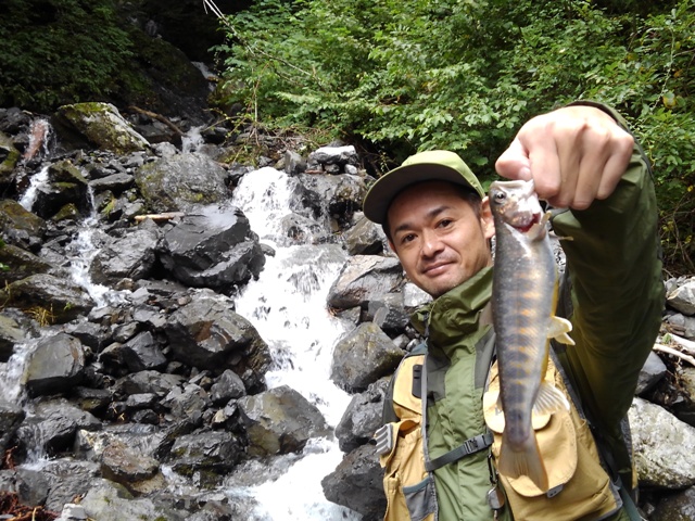 �k���ނ茳�N