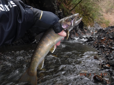 ���N�P����