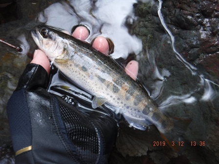 �Ȃ�Ƃ��{���P����