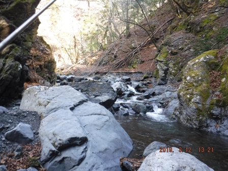 �ǂ��ɋ���̂��낤