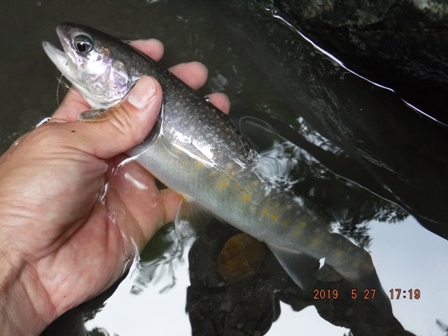 �Ȃ�Ƃ��P����