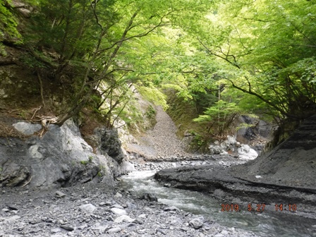 �ŏ�����g�o�S���l�o���^�����Ċ���