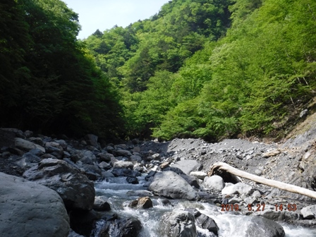 ���X�r��Ă���