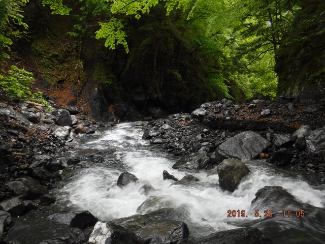 �G�ꂽ�k��