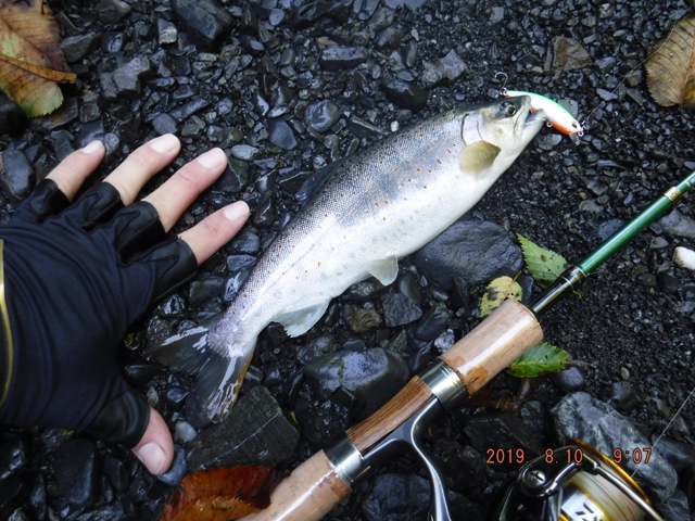 �{�����g�h�s