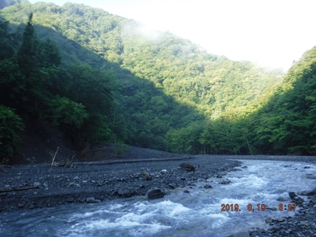 �����̗\��