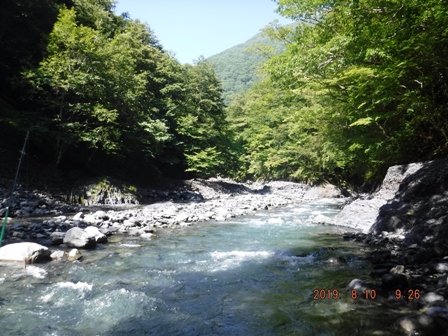 �����̗\��