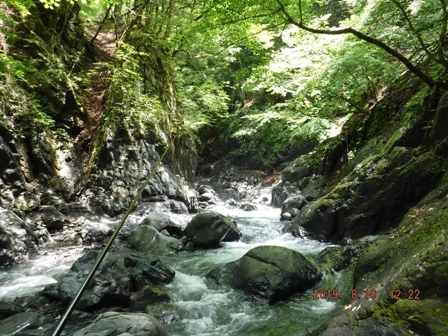 ���ς�炸�̌k��