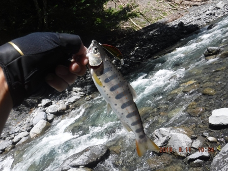 ���������A�[��