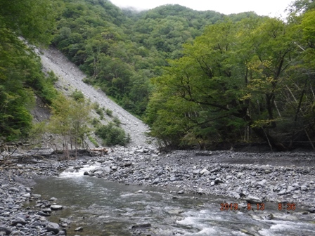 ��N�Ԃ�̂h��