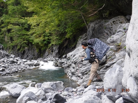 �ǂ��ɂ����e���E�E