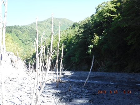 �ꔭ���߂��