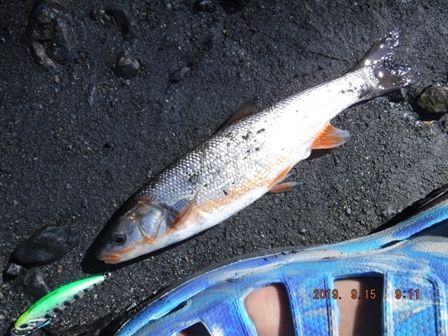 �O������������Ă��ꂽ