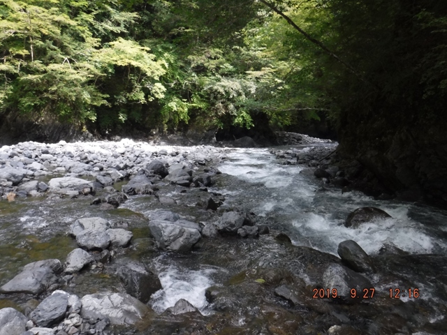 �ǂ��ɋ����̂��낤