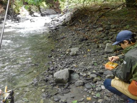 �ꏊ��ς���