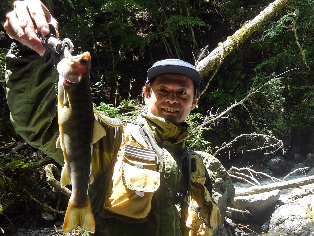 �T�g�[����̂Q����