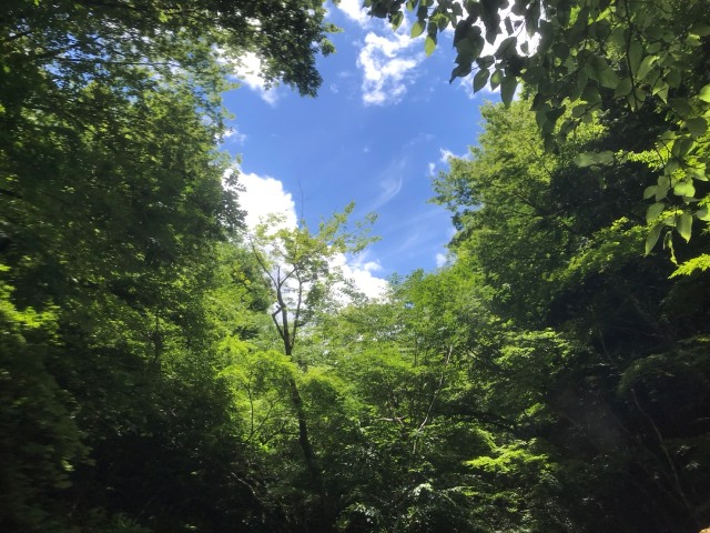 �ǂ��ɋ���̂��낤