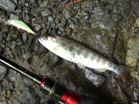 �P���ڂ͉���