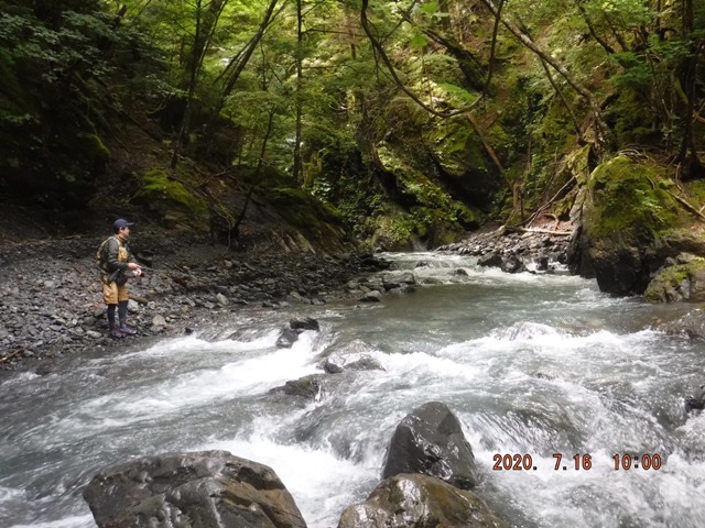 �P���ڂ͉���