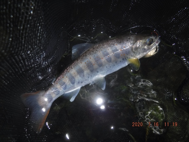 �Q���ڂ�����