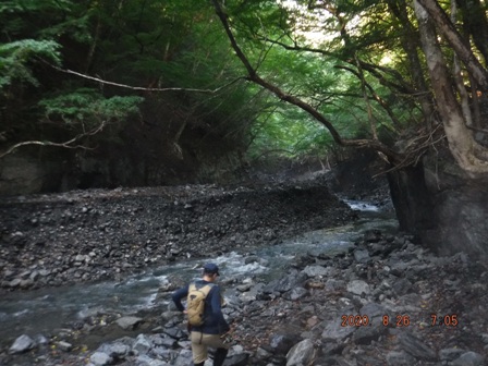 ���ʂ͊�{�l