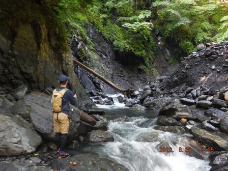 �ǂ��ɋ���̂��낤