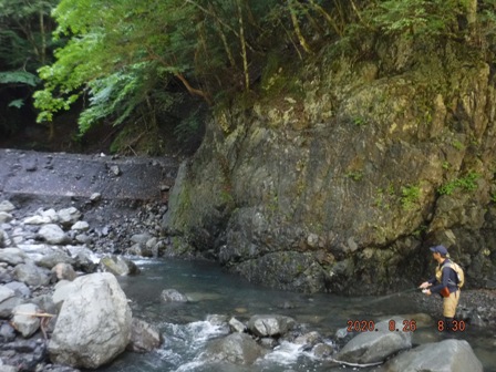 �ǂ��ɋ���̂��낤