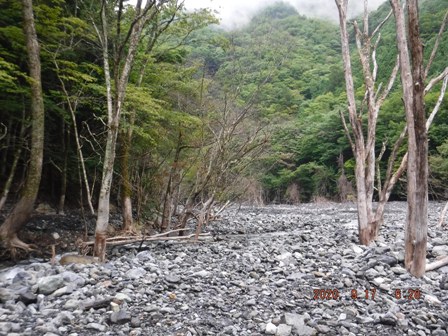 �܂��r�ꂽ�̂�