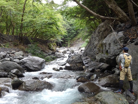 �ǂ��ɋ���̂��낤