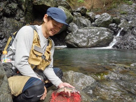 �悤�₭�ނꂽ