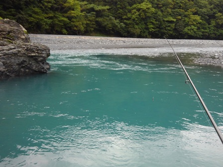 �Y��Ȗ{���̗���