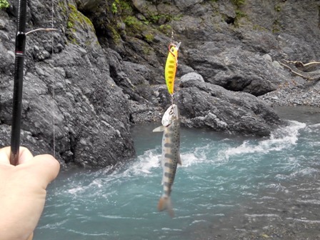 �Ȃ�Ƃ���C