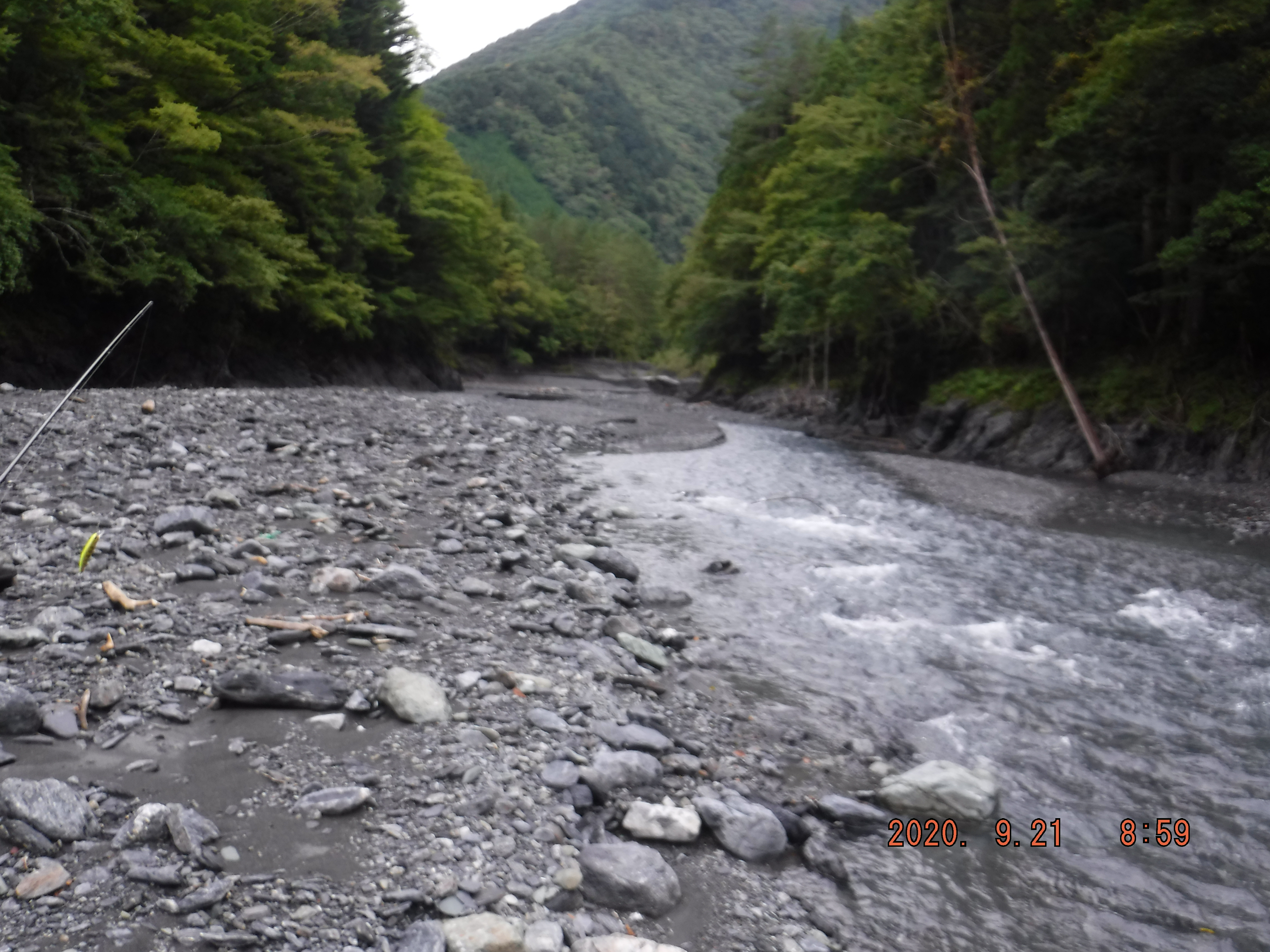 ���f�Ȃ�ʗ���