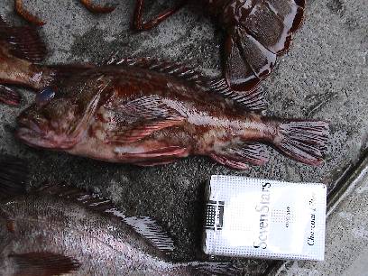 �J�T�S�Q�S����