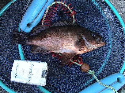 ���o���Q�T����