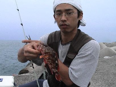 �}�b�T�[�̃J�T�S