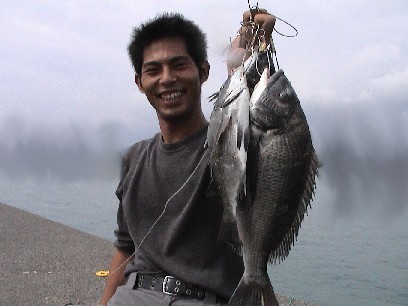 �i�I�L�̃X�g�����K�[